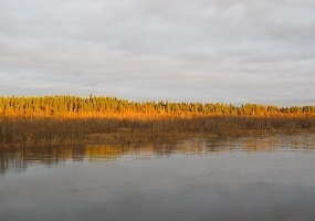 Природа - Архангельской области